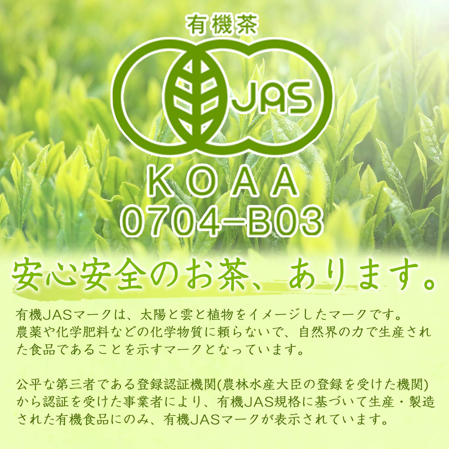 Amazon.co.jp: 有機釜いり茶（上級） ※宮崎県五ヶ瀬町産有機緑茶